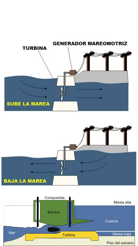 Energía mareomotriz